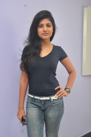 Swetha Pandit Photos